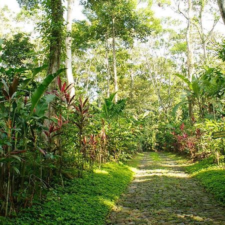 Takalik Maya Lodge El Asintal Екстер'єр фото