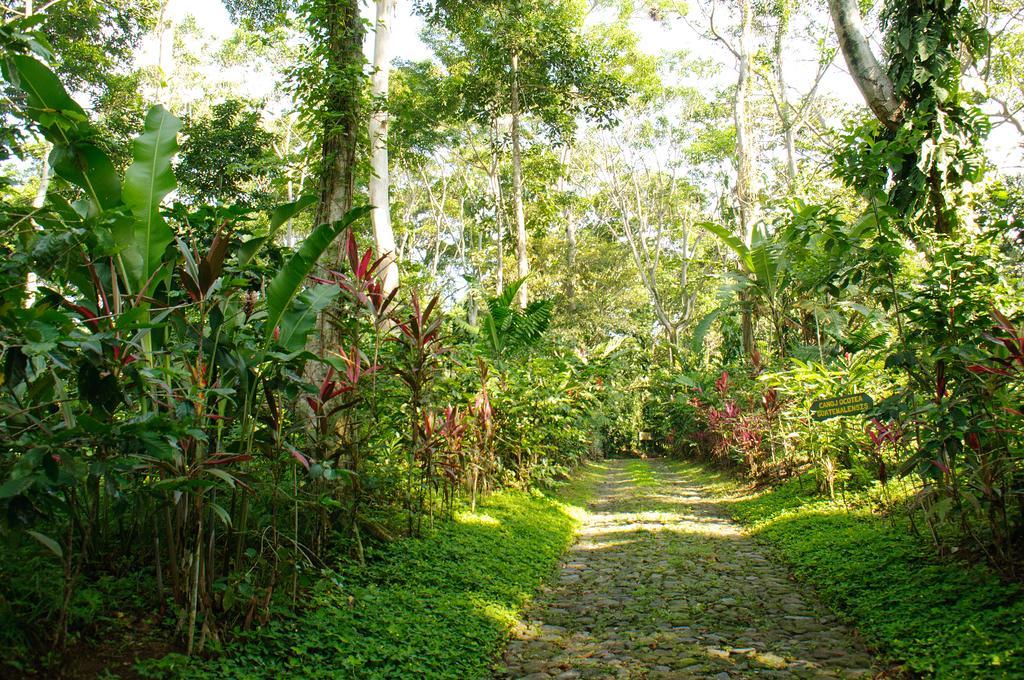 Takalik Maya Lodge El Asintal Екстер'єр фото