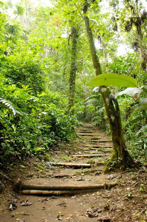 Takalik Maya Lodge El Asintal Екстер'єр фото