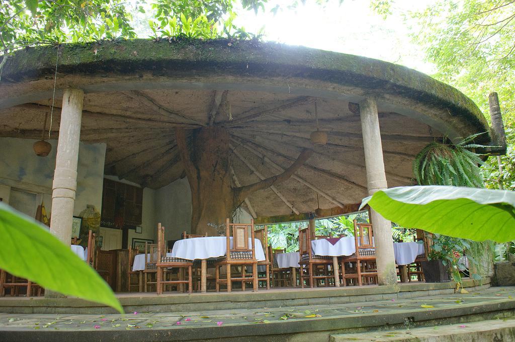 Takalik Maya Lodge El Asintal Екстер'єр фото